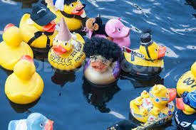 Quackers Duck Race in Manchester!